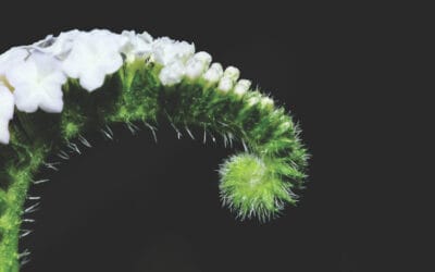 Closed-ended funds – an underexplored route to alternative assets for DC schemes