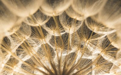 Road To Better Outcomes: Survey Highlights