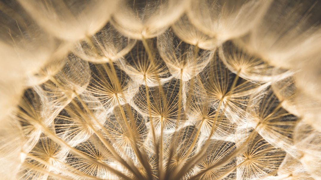 Road To Better Outcomes: Survey Highlights