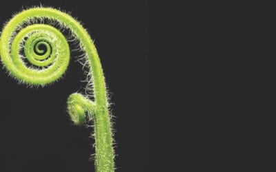 Sorting ESG champions from ESG imposters is simple but not easy as Abhishek Parajuli explains