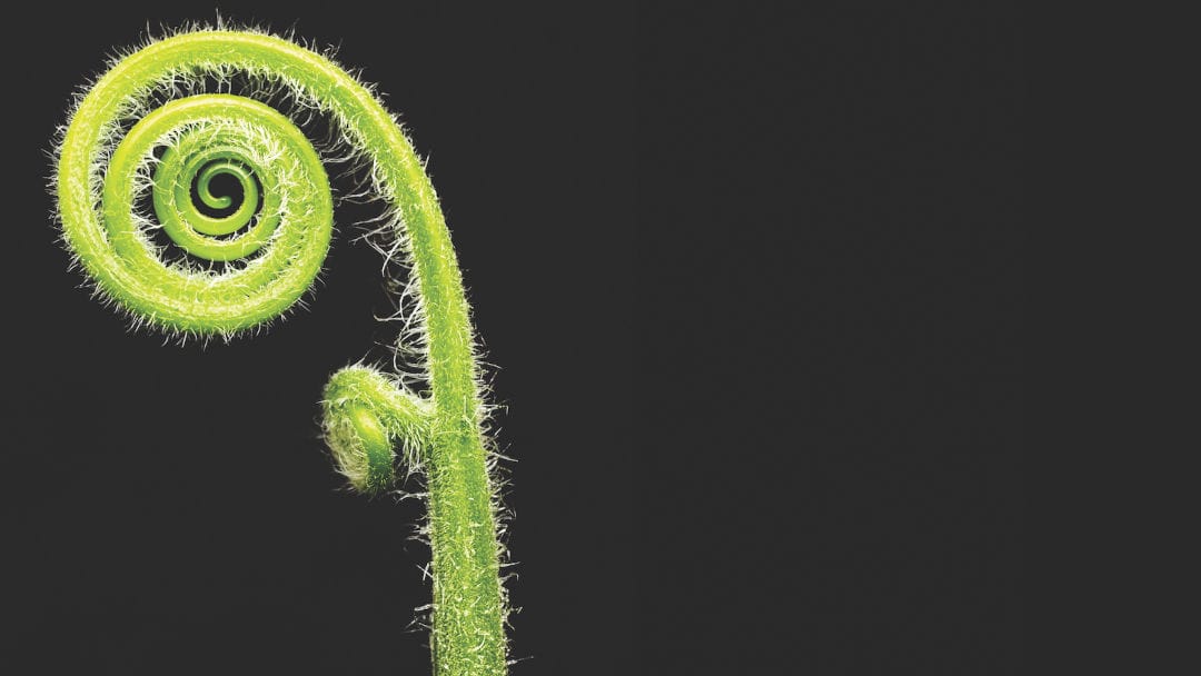 Sorting ESG champions from ESG imposters is simple but not easy as Abhishek Parajuli explains