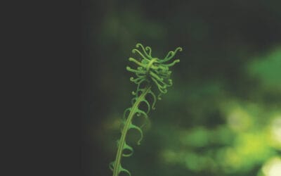 Back to Reality: Sustainability and Investment Returns