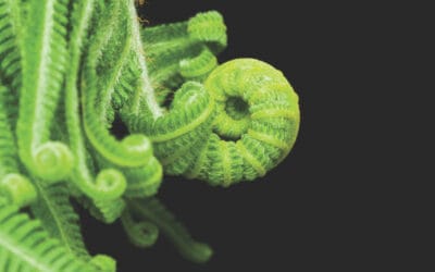 DCIF virtual roundtable: What do DC scheme investment gatekeepers think about illiquid assets?