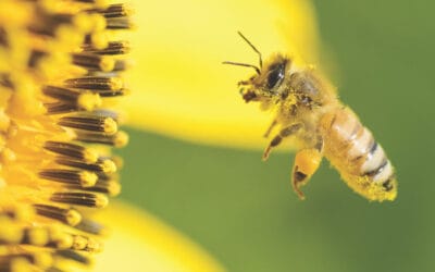 Doing well by doing good: the case for private markets in DC