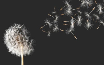 Property facing its emissions reckoning