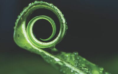 Can multi-asset credit improve DC performance?