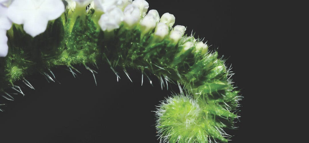 The financial, economic and social impact of UK Property