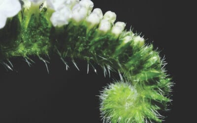 The financial, economic and social impact of UK Property