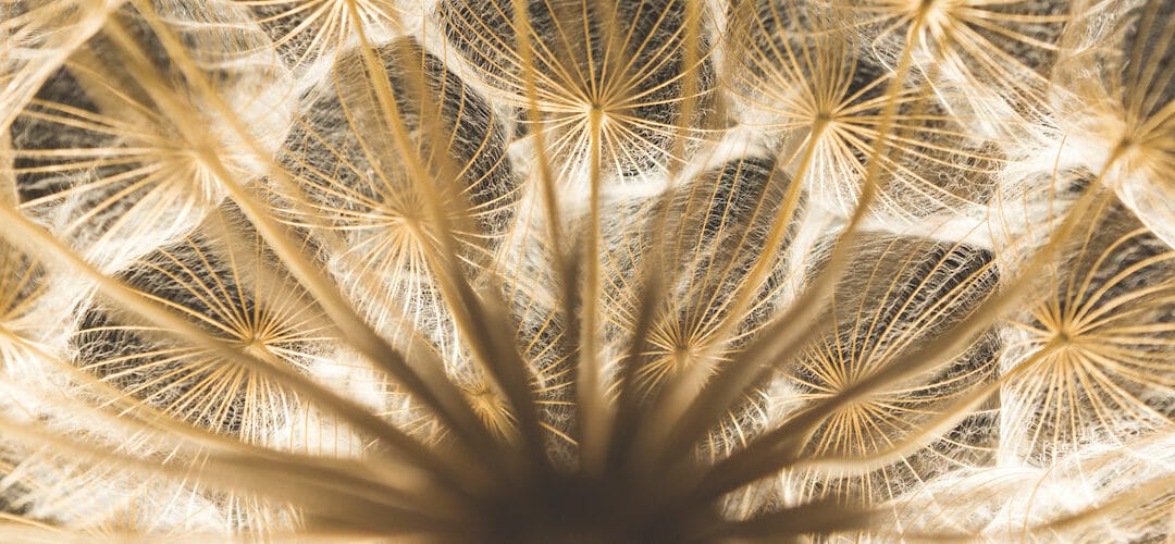 The Decumulation Opportunity: Learnings for the UK From Around the Globe