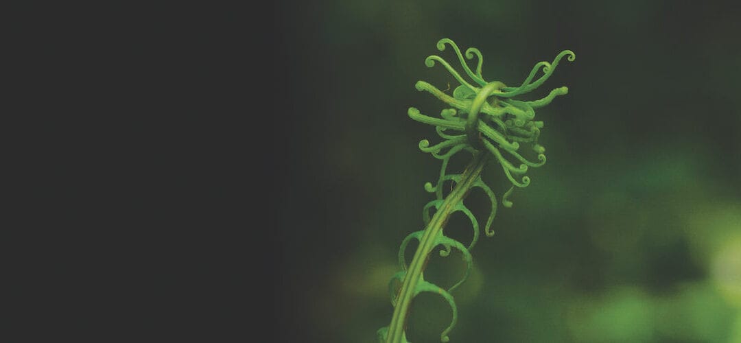 The DCIF announces new chair and vice chair