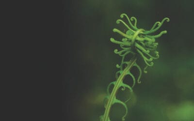 The DCIF announces new chair and vice chair