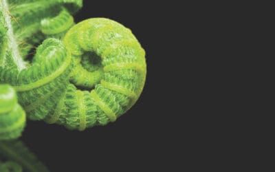 What is on the DC pension trustee’s agenda in 2024?