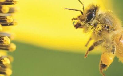 The DCIF responds to the Mansion House Accord