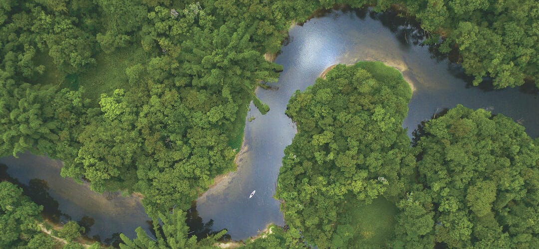 From savings to security: how Nest plans to deliver lifelong income