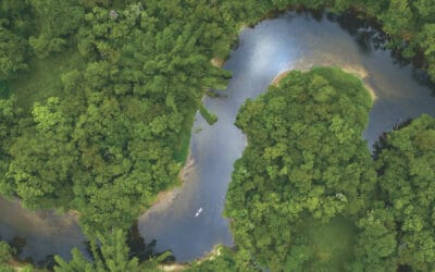 From savings to security: how Nest plans to deliver lifelong income