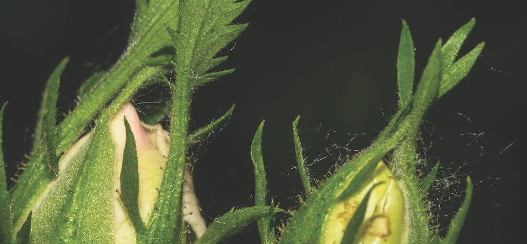 Being a fully engaged ‘quality’ shareholder is the best way to provide returns for members