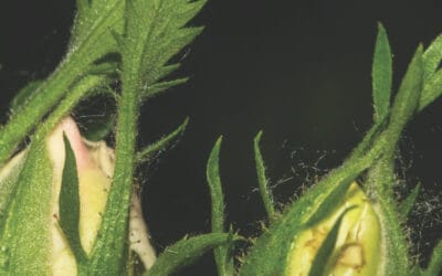 Being a fully engaged ‘quality’ shareholder is the best way to provide returns for members