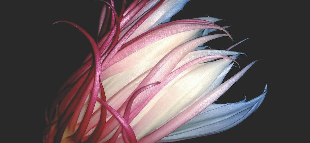 Is the UK pensions industry in danger of doing the right thing in the wrong way?