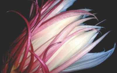 Is the UK pensions industry in danger of doing the right thing in the wrong way?