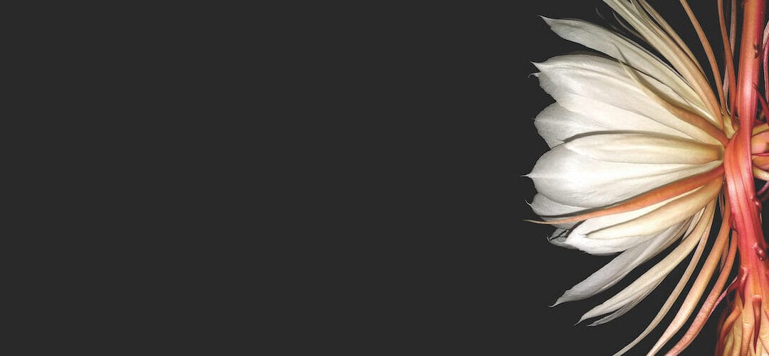 Building resilience in uncertain times: The case for infrastructure equity in DC funds